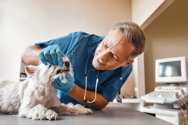 Best Emergency Tooth Extraction in Bithlo, FL
